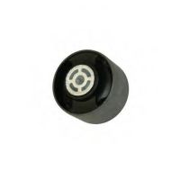 Motor suspension rear bottom