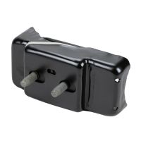 Engine mounts front left or right