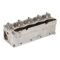 Cylinder head new with camshaft and valves OE2991607