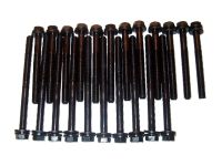 Cylinder head screw set 22 pcs.