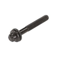 Cylinder head screw M8X1.25X57