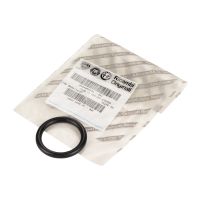 Oil filter gasket