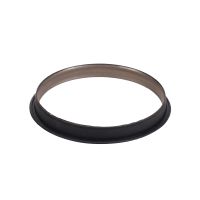 Seal for the vacuum pump