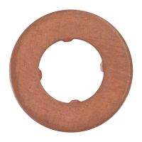 Sealing ring for injector