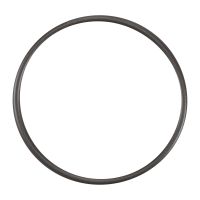 Sealing ring on injection pump