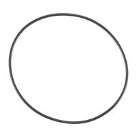 Sealing ring on the air filter housing