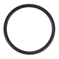 Sealing ring O-ring