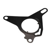 Seal vacuum pump original FCA