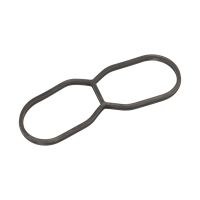 Oil filter gasket