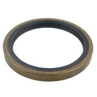 Wellendichtring Hinten Kurbelwelle