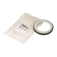 Shaft seal crankshaft rear