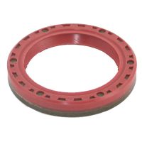 Oil seal crankshaft rear