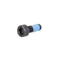 Flywheel screw expansion screw