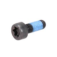Flywheel screw expansion screw