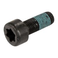 Flywheel screw, flywheel screw