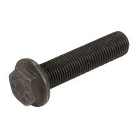 Screw for the flywheel M12x1.25x51