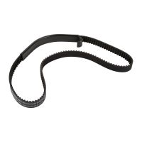 Toothed belt 146 teeth 24 mm OE