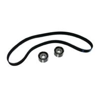Toothed belt kit with 2 guide pulleys DAYCO