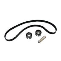 Toothed belt kit with 2 guide pulleys DAYCO