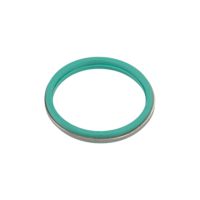 Ring seal camshaft housing