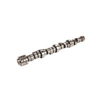 Camshaft 6.4L V8