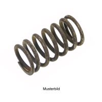 Valve spring outside
