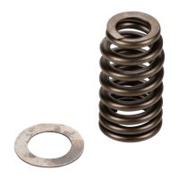 Valve spring