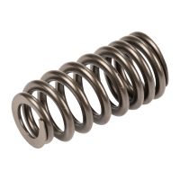 Valve spring