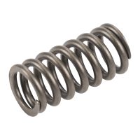 Valve spring 1,3 JTD