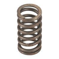 Valve spring