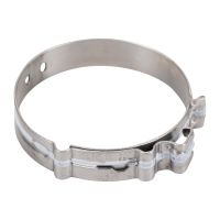 Hose clamp