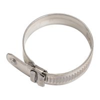 hose clamp