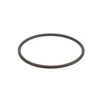 Seal for the fuel filter