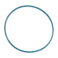 fuel pump seal in the tank