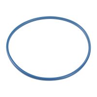 Fuel pump seal in the tank