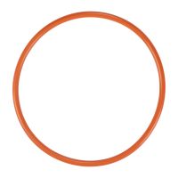 Gasket fuel pump on the tank