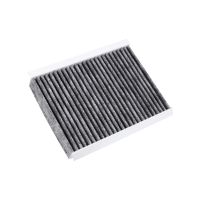 Inside air filter pollen filter active carbon filter