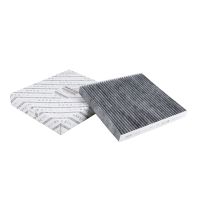 Interior activated carbon filter