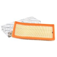 Original angular air filter insert