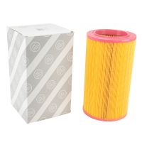 Air filter insert around AG Automotive