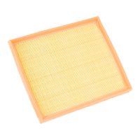 Air filter PSA OE