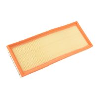 Air filter element PSA OE