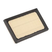 Air filter element PSA OE