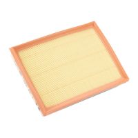 Air filter element PSA OE