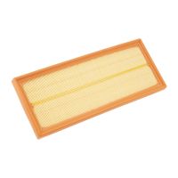 air filter insert