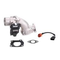 Throttle bodies to 2011 incl. gaskets & cables