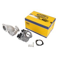 Throttle bodies from 2011