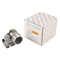 Throttle body from 2011