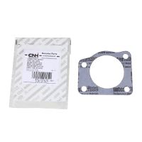 Throttle valve seal OE