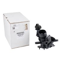 Throttle valve original FCA